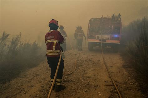 feuer algarve|“Positive” year for Algarve fires